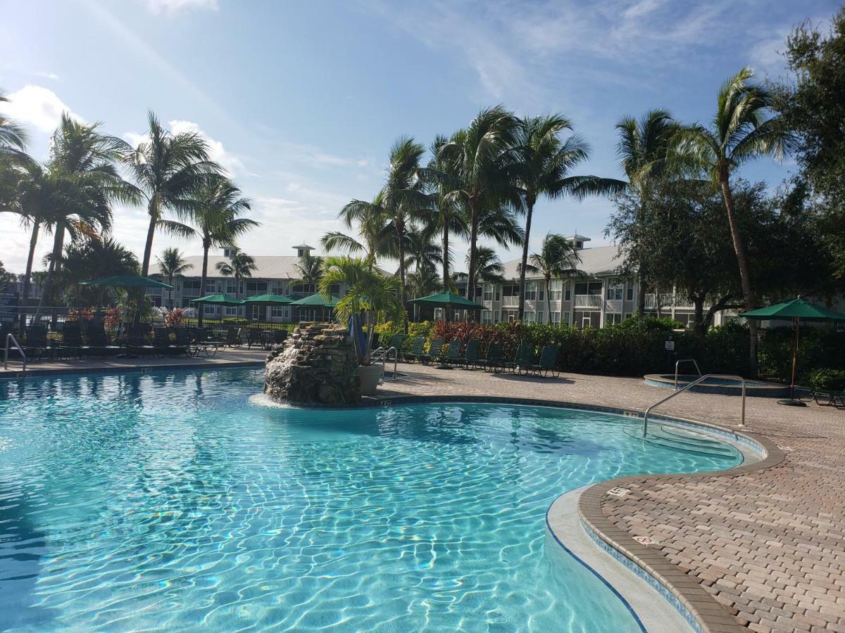 Apartment Vacation In Paradise *